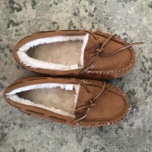 Brown slippers